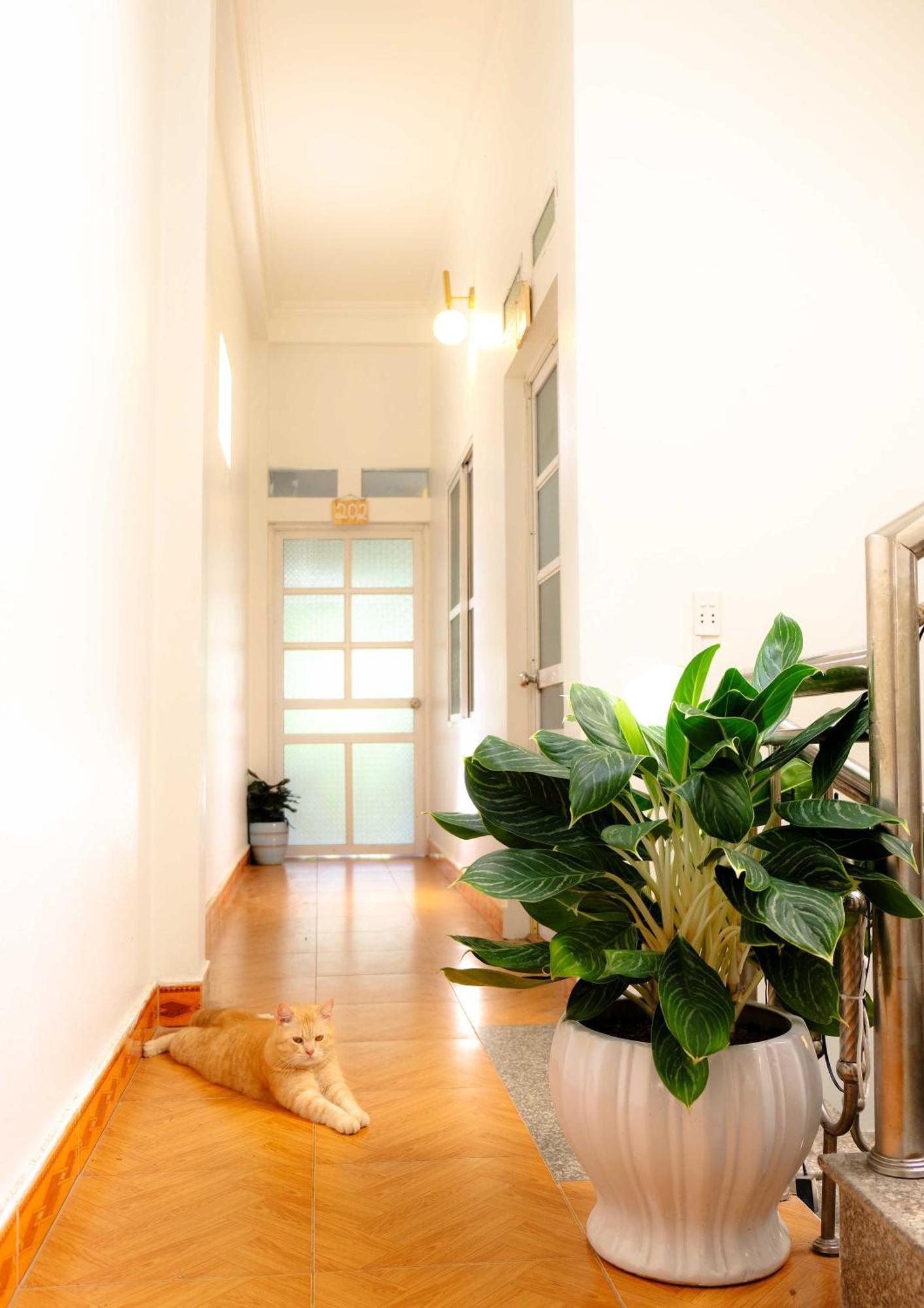 Lazy Cat Homestay - Motorbikes Rental & Tours Ha Giang Bagian luar foto