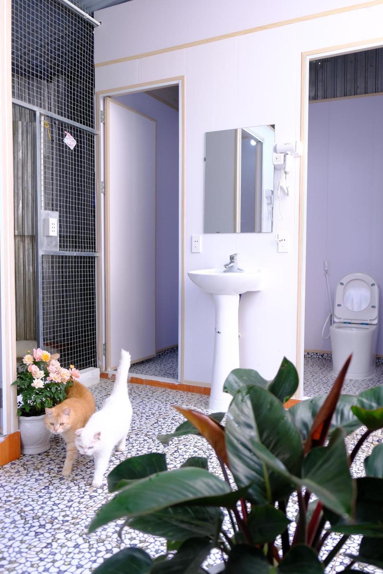 Lazy Cat Homestay - Motorbikes Rental & Tours Ha Giang Bagian luar foto